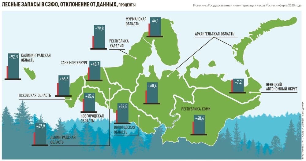 Рослесинфорг подвел первые итоги государственной инвентаризации лесов